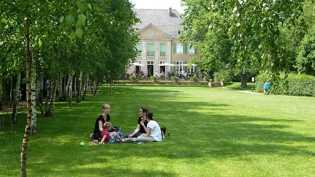 picnic-berlin