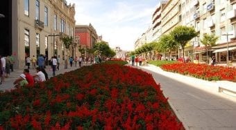 A flower bed filled with red flowers stretching up the main street in Braga.