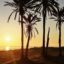 How to get from Alicante Airport to Torrevieja