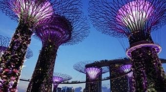 singapore gardens by the bay
