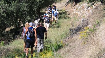 Corfu trail
