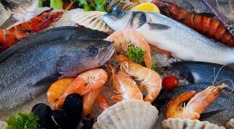 best foodie places dubrovnik croatia