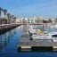 View of a marina with a palm-lined walkway on the left, buildings in the foreground and a jetty with boats attached to it.