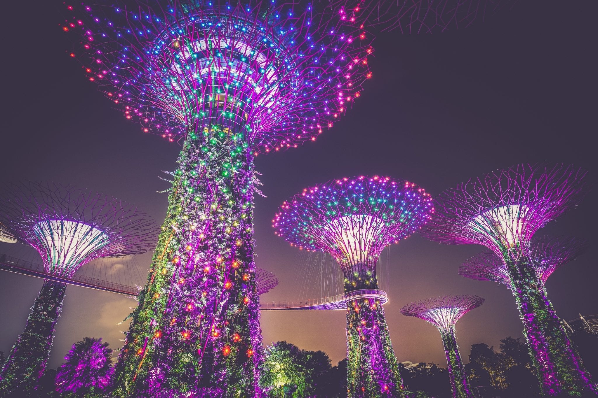 Singapore Airport lights.