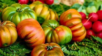 Rome Veggies