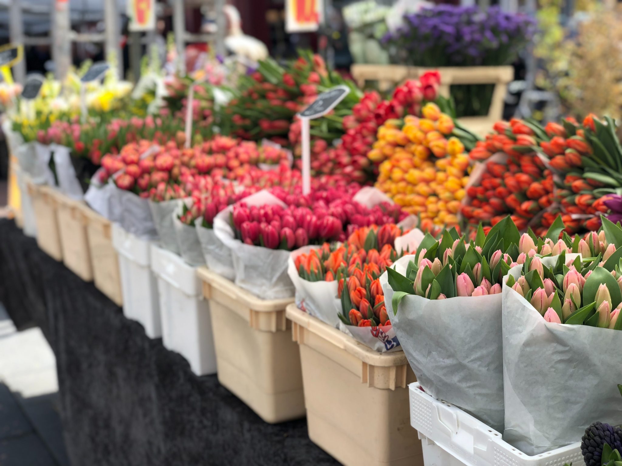 Flower Market Amsterdam