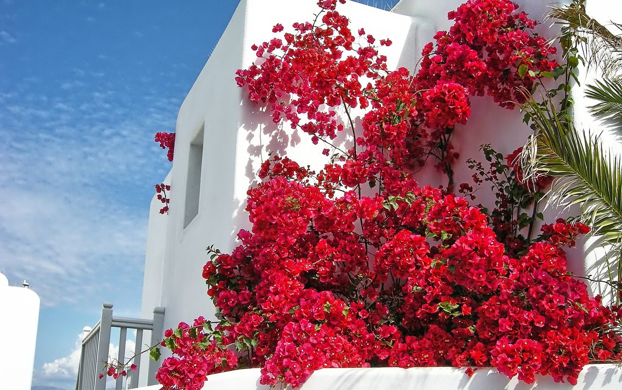 mykonos nature