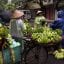Vendor on Hanoi street selling bunches of bananas