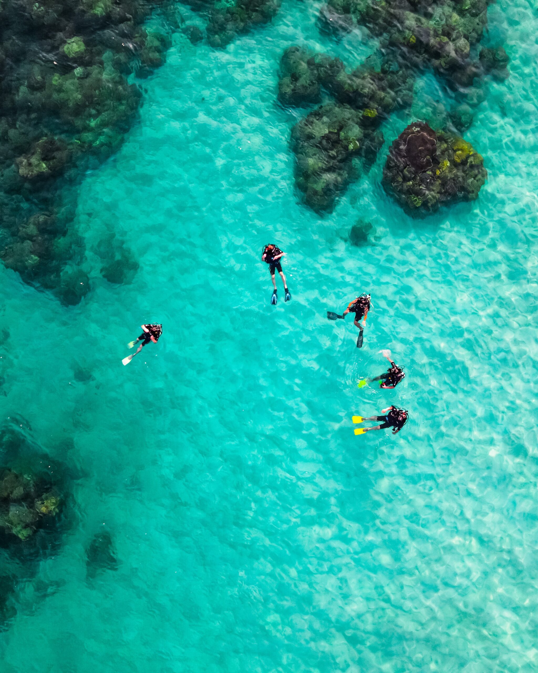 mallorca-diving