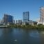 A view of Austin City in the background with buildings and trees and a body of water in the foreground.