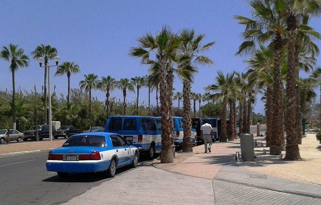 Cabo San Lucas taxi Taxis in Cabo San Lucas lined up along a street with palm trees.