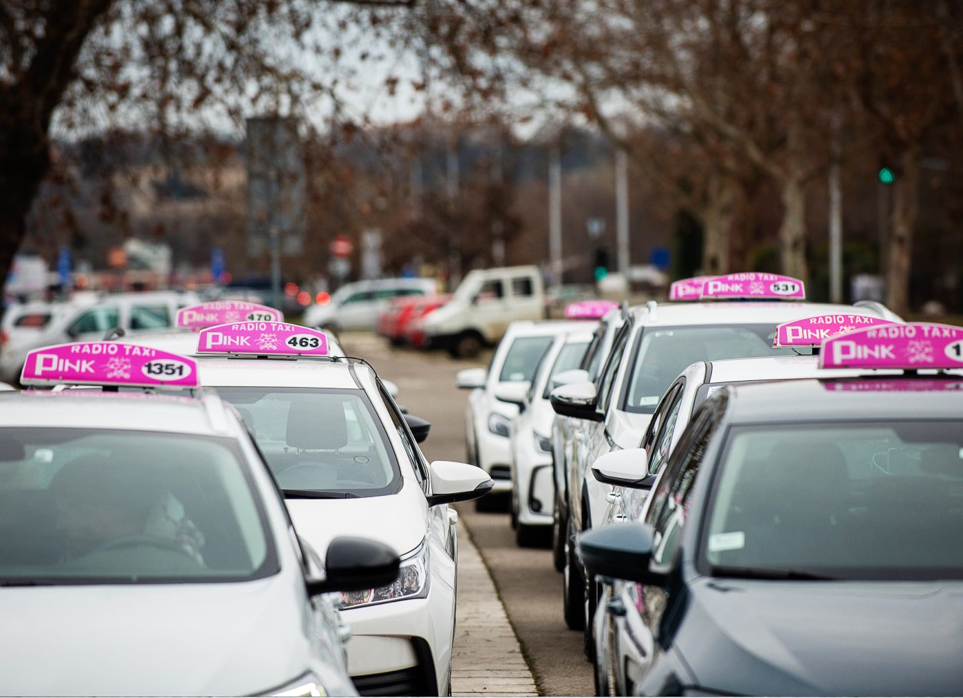 Такси в белграде. Pink Taxi Beograd.