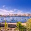 Blooming Aloe Vera and plants at the new harbor area of Charco de San Gines in (Lanzarote)