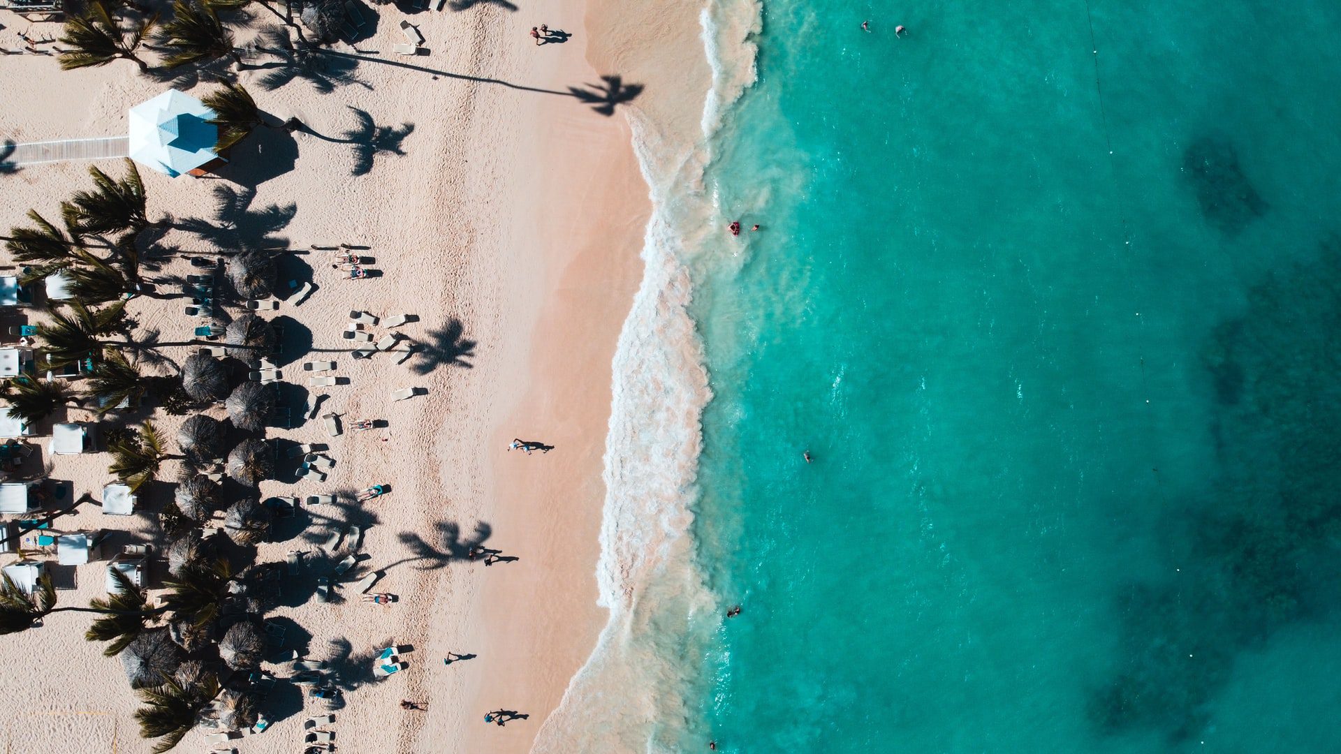 drone view of sandy beach with palm trees and turquoise waters in punta cana dominican republic