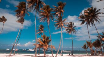 palm trees on white sand beach with turquoise water and a few small boats in the background in the Dominican Republic