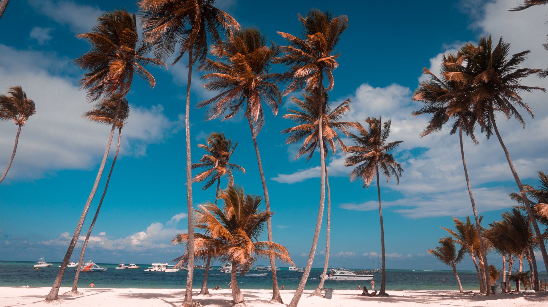 palm trees on white sand beach with turquoise water and a few small boats in the background in the Dominican Republic