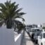 Lanzarote sidewalk along a white wall and green palm tree