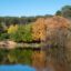 green and brown trees reflecting on river during daytime