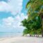 white sandy beach with palm trees next to milky blue waters under a cloudy morning sky