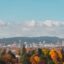 aerial shot of city buildings and green, brown, red and yellow trees under a cloudy sky