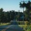 dark concrete road between green trees and grass in a residential area during daytime