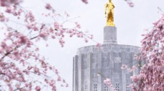Gold statue on top of concrete grey building with pink cherry blossom trees nearby