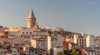 aerial view of city buildings and flying birds at daytime