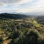 Panoramic view of green trees and hills from mountain Dajt in Tirana, Albania in daytime
