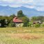 fountains appear at distance behind green trees, traditional homes in Thailand and rice fields