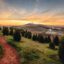 Sun rising over a green hill with green bushes and trees