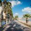 palm trees lining some houses by body of water under a blue sky with some clouds at Los Alcazares on the Mar Menor. The province of Murcia. Spain
