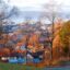 brown and white houses near trees during autumn, under a cloudy sky in Trondheim, Norway