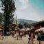 Busy market street with a lot of people walking around in Sarajevo, Bosnia and Herzegovina. Book a Sarajevo taxi from the airport and start exploring.