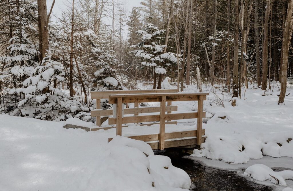 Transfer Options from Halifax Airport to Dartmouth