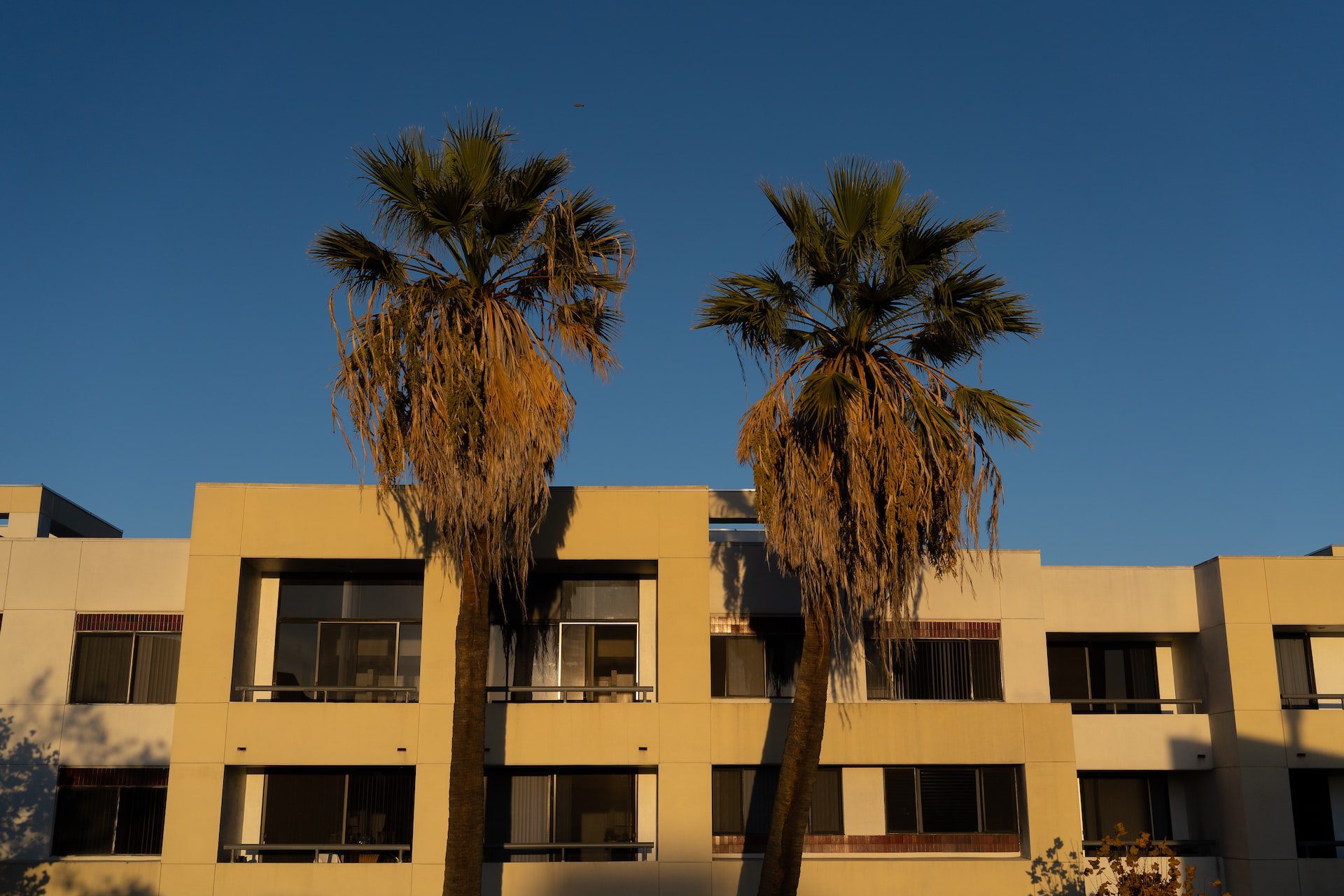 San Jose, CA, US
