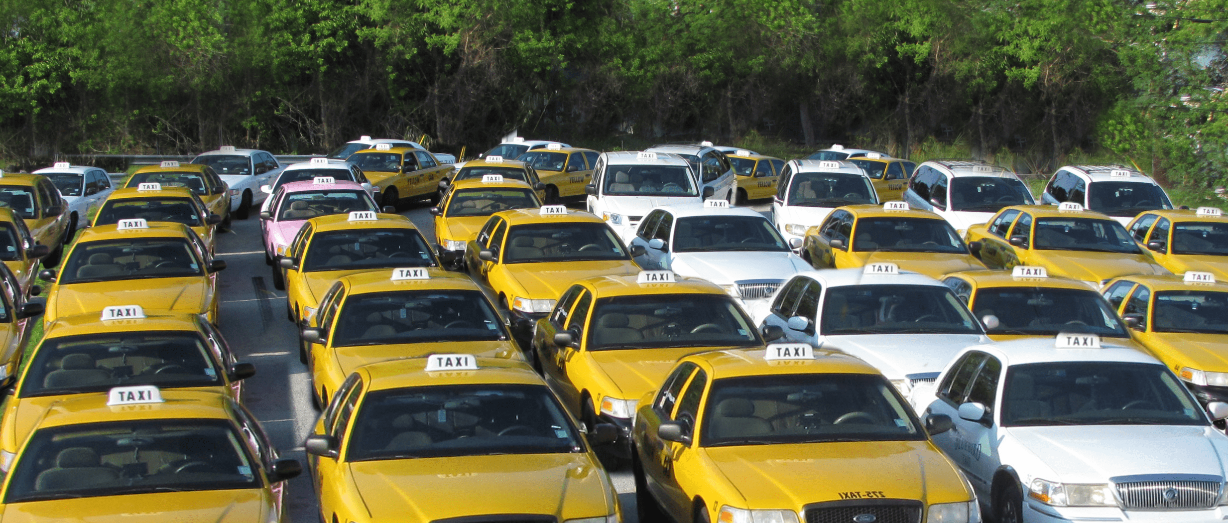 Fort Myers Taxi