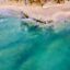 Aerial sea view of the turquoise water and golden sand in Playa del Carmen