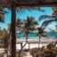 A view of a white sandy beach with turquoise water with lots of palm trees and beach hut at the entrance.