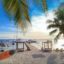 A sandy area framed by palm trees with a pier leading to boats on the water.