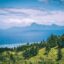 A forest blending into the blue waters of the sea with a mountain in the background.