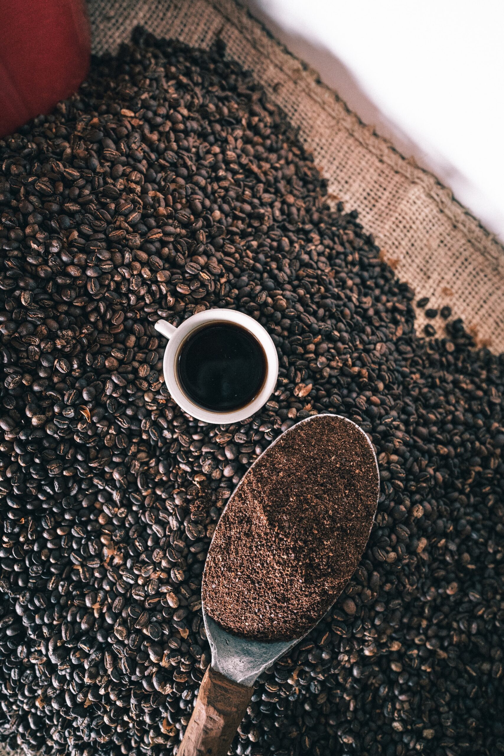 Overhead view of a sack of coffee beans with a cup of coffee sitting in top and a scoop filled with coffee beans.