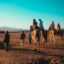 tourists riding camels in Hurghada