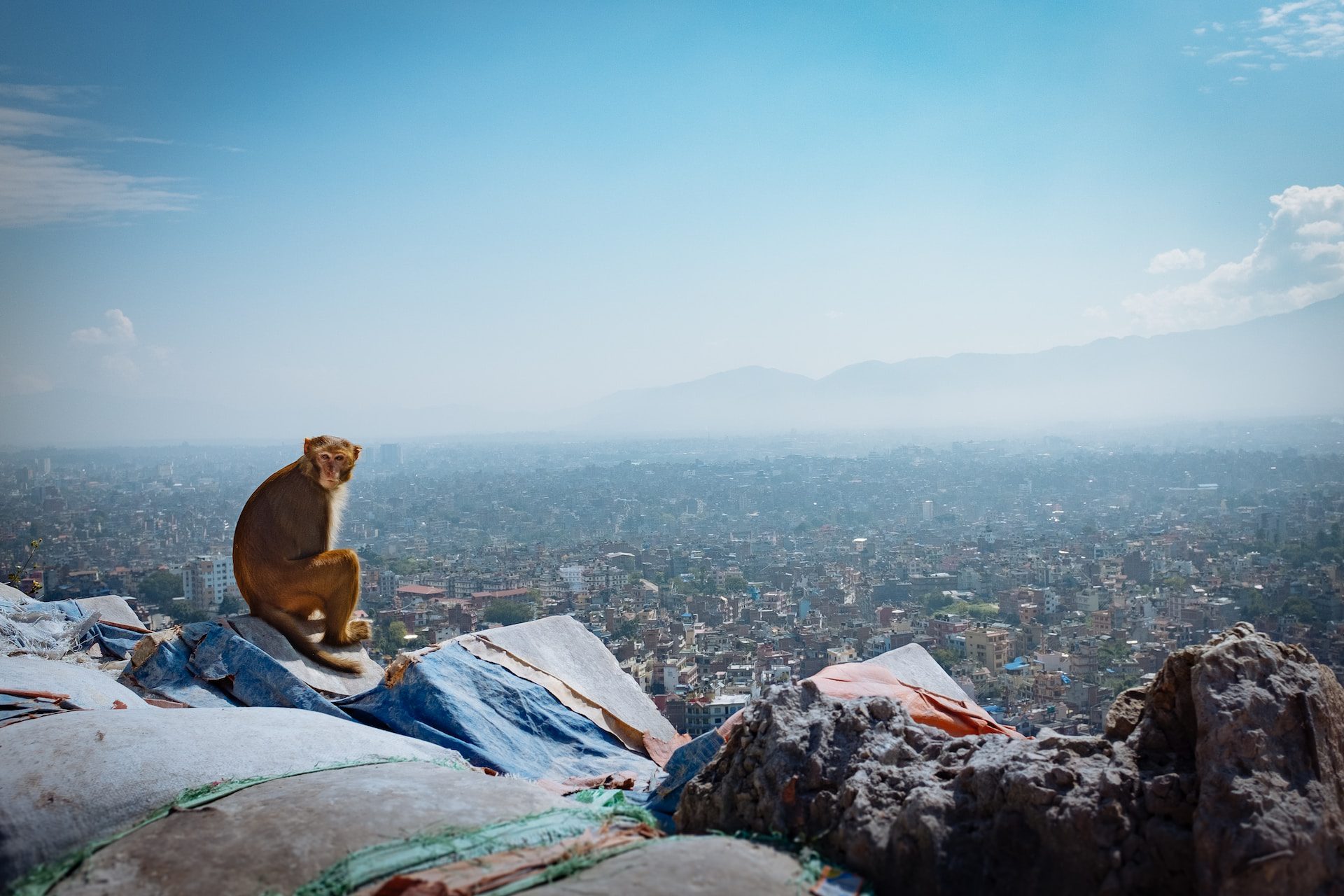 A monkey sitting on a cliff ledge with a panoramic view of Kathmandu behind and blue skies above.