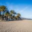 View of Vera Playa beach, with sand stretching for miles, palms lining the left side and blue skies above.