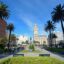 View of a palm-lined walkway with grass in the centre and historic buildings further ahead.