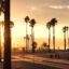 yellow sunset as seen between tall palm trees