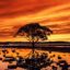 brisbane airport to redcliffe