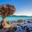 View of a natural rock formation at Balandra Beach in La Paz, with crystal-blue waters and a blue sky above.