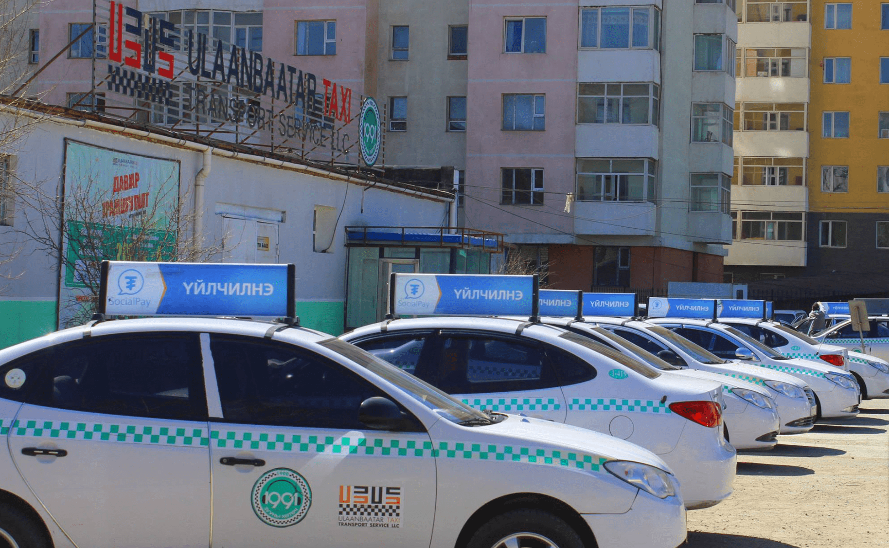 Ulaanbaatar taxi White and green taxis lined up in a row
