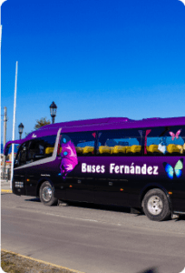 Bus from Punta Arenas to Puerto Natales by Buses Fernandez